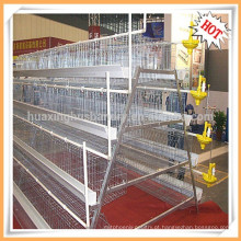 Equipamentos de aves de produção profissional Chicken Layer Cage